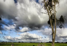 斋普尔将面对土库曼斯坦竞技，决胜关键战