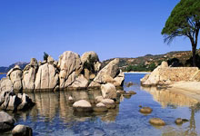 江苏队员积极训练，为联赛做好准备